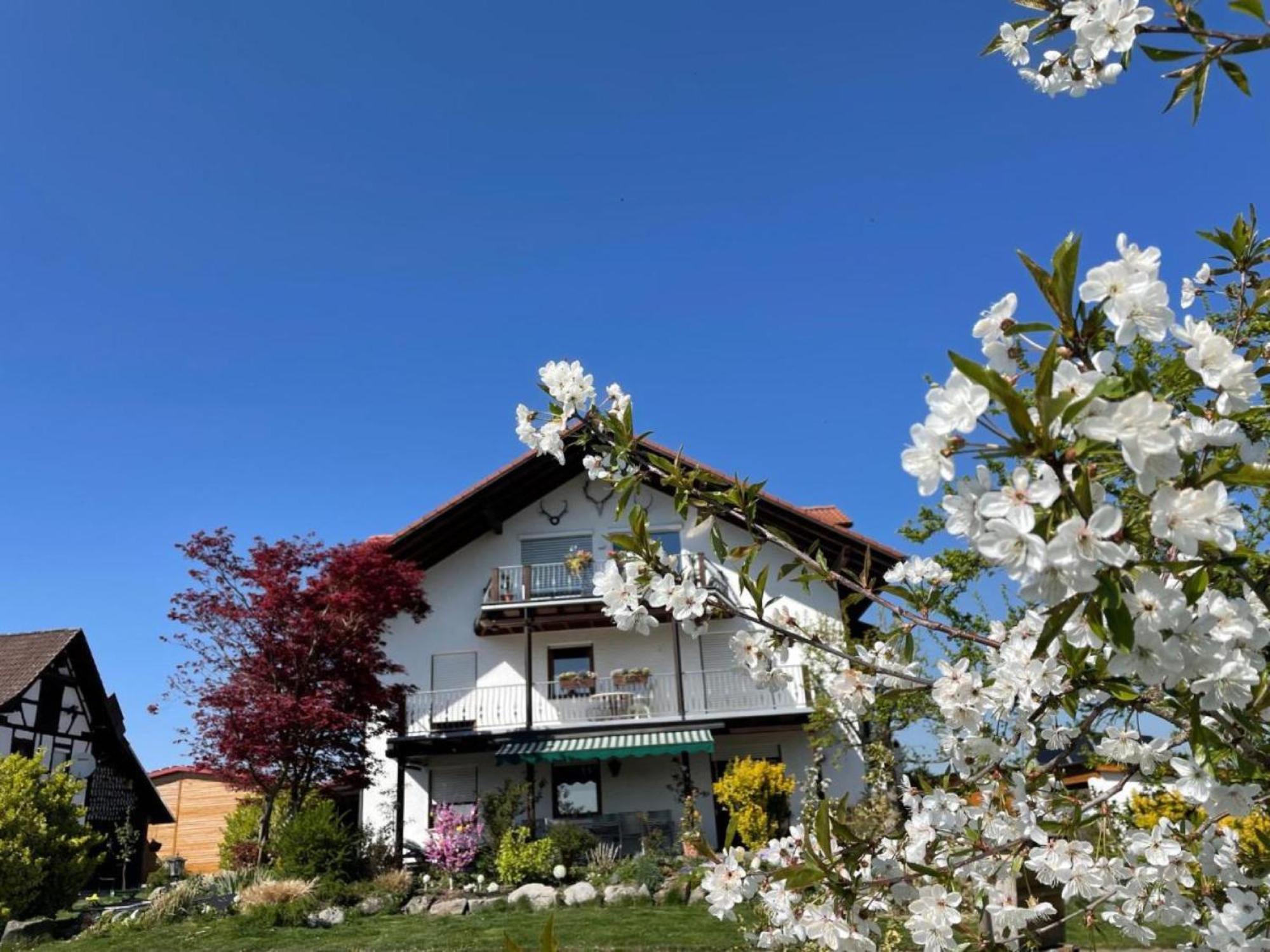 Bergchalet Mirabell - Hofgut FDH Dış mekan fotoğraf