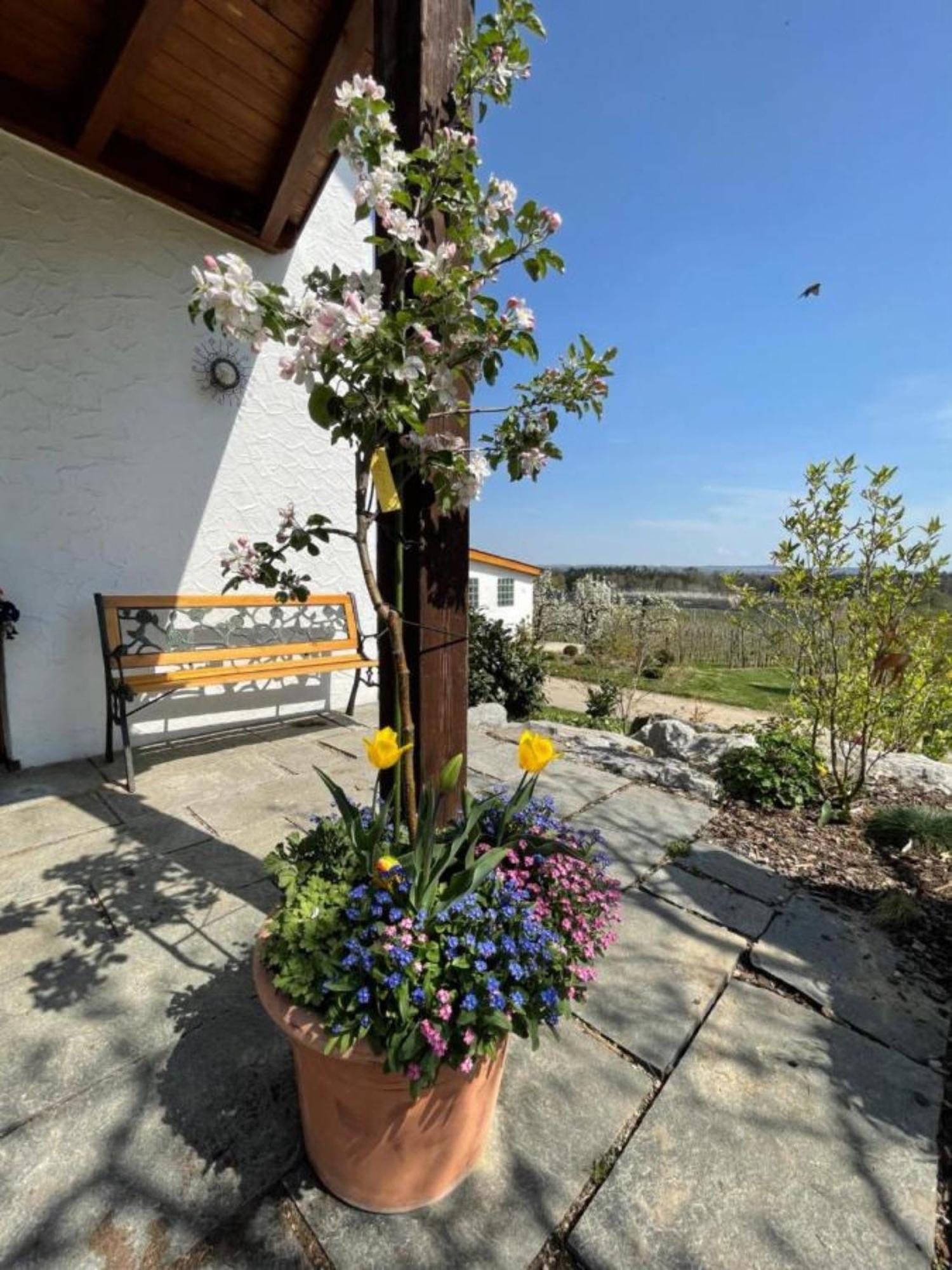 Bergchalet Mirabell - Hofgut FDH Dış mekan fotoğraf