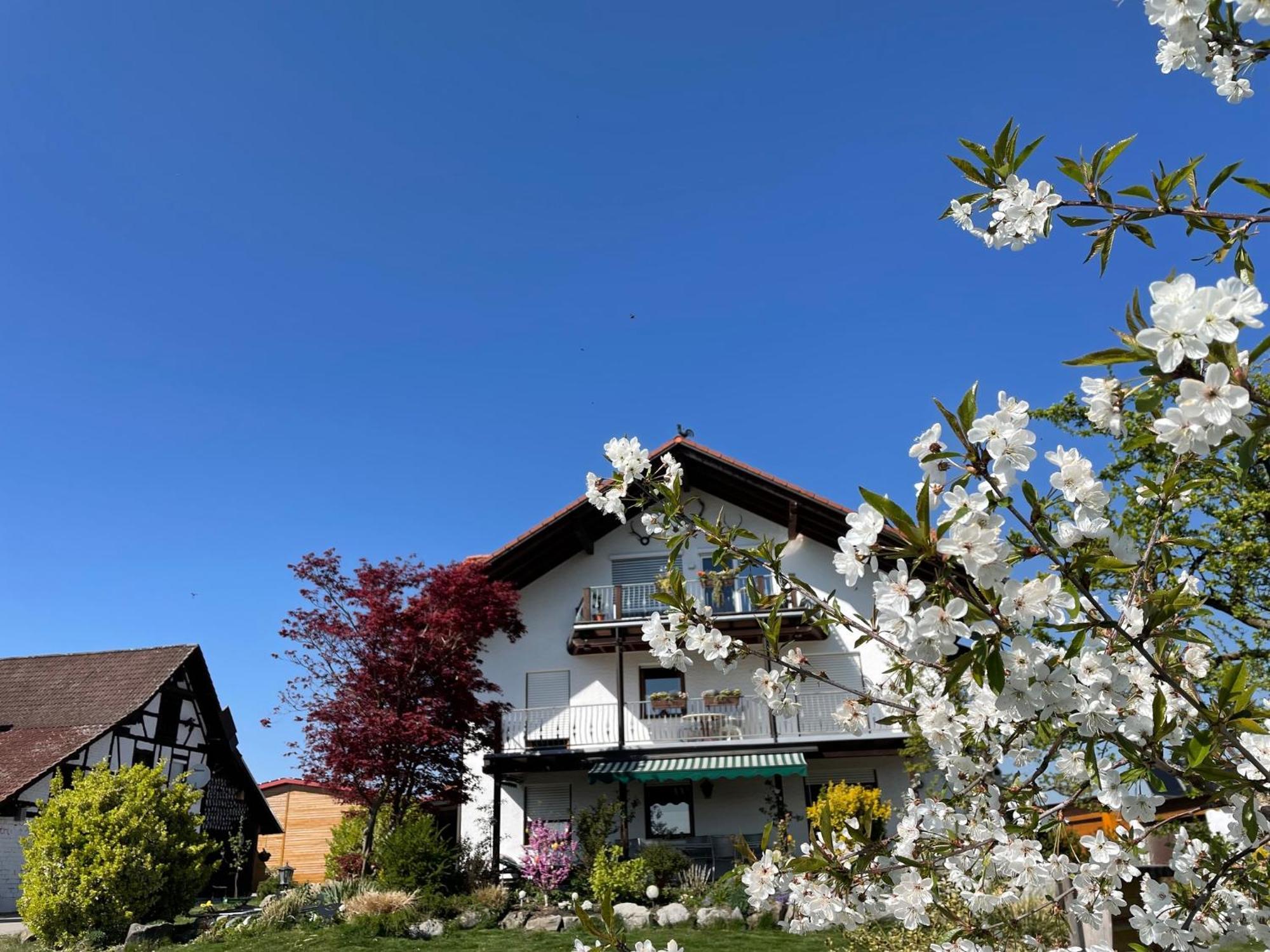 Bergchalet Mirabell - Hofgut FDH Dış mekan fotoğraf
