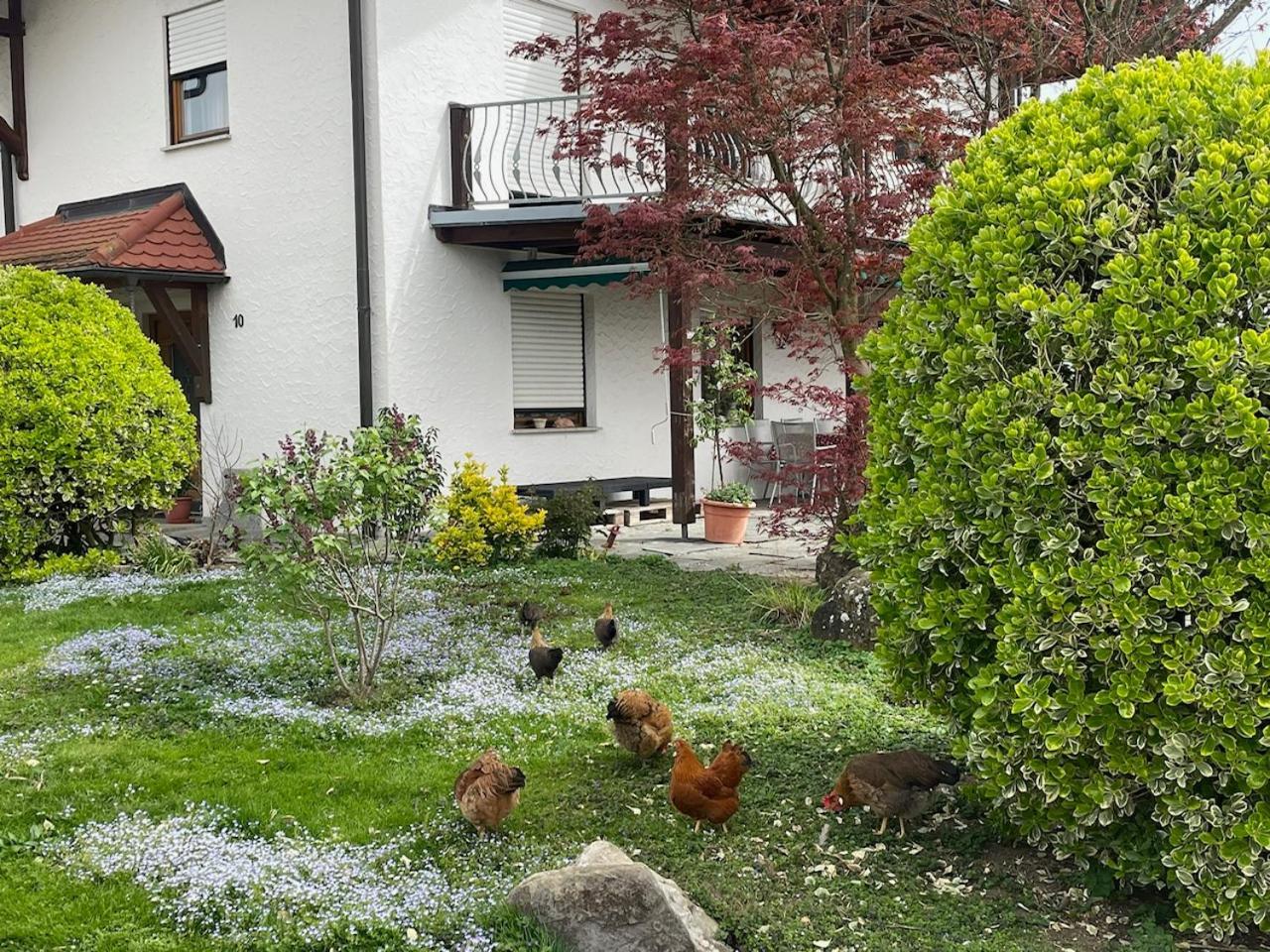 Bergchalet Mirabell - Hofgut FDH Dış mekan fotoğraf