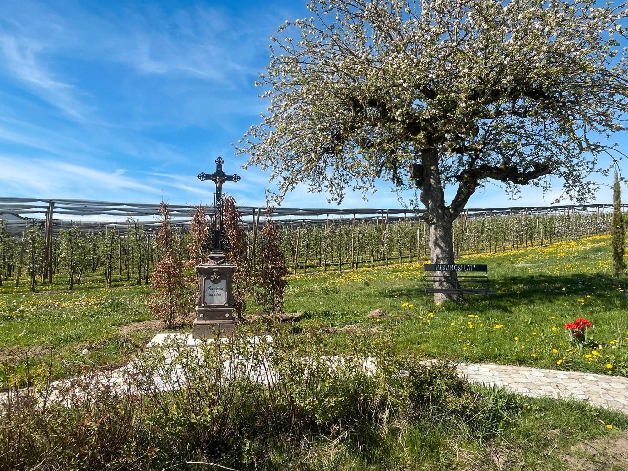 Bergchalet Mirabell - Hofgut FDH Dış mekan fotoğraf